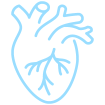 SJMC Icon Cardiovascular Center